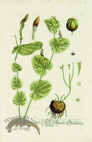 Blackwell German 230